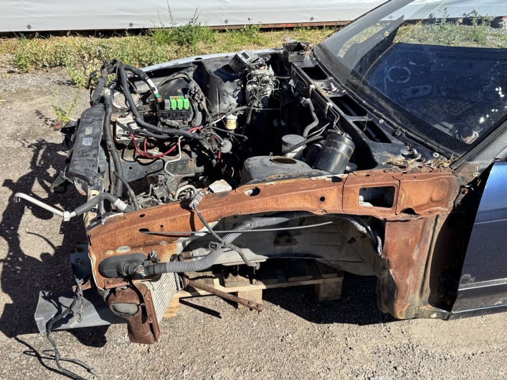 s13_1.jpg