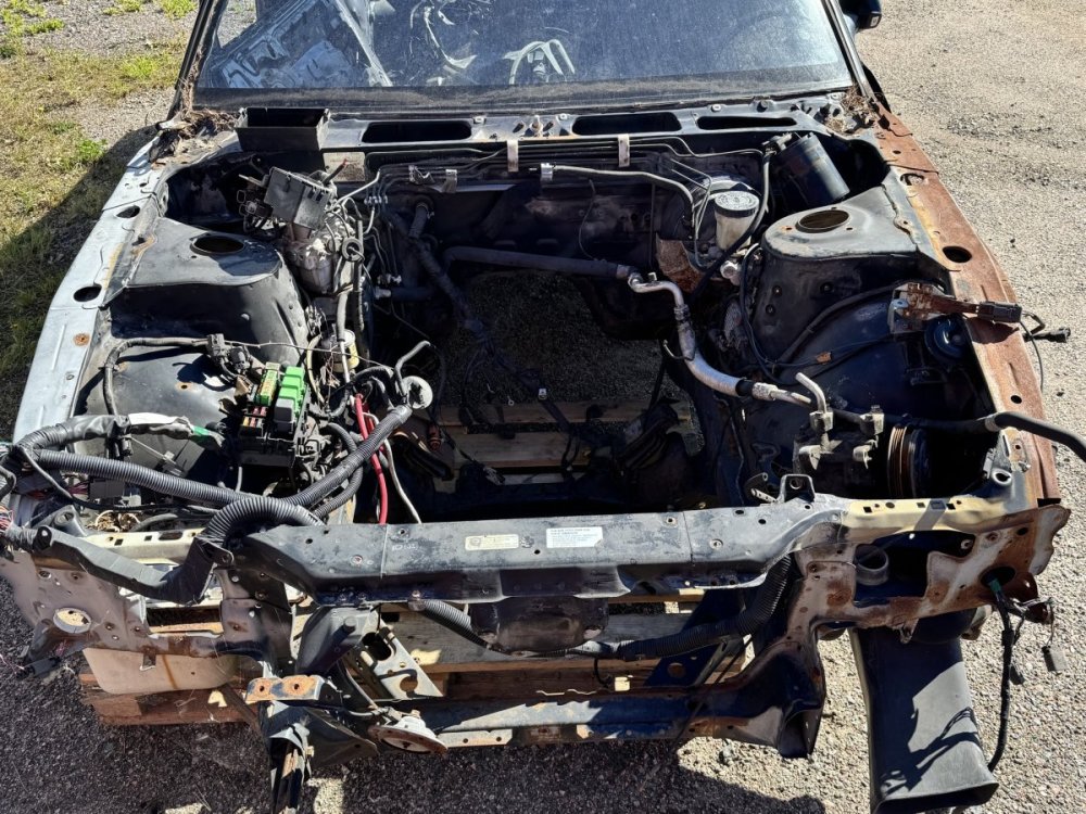 s13_2.jpg